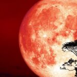 A day of Spiritual Contemplation, Conversation, Song and Dance